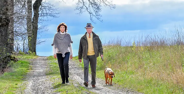 Kungen och drottningen har skaffat ny hundvalp