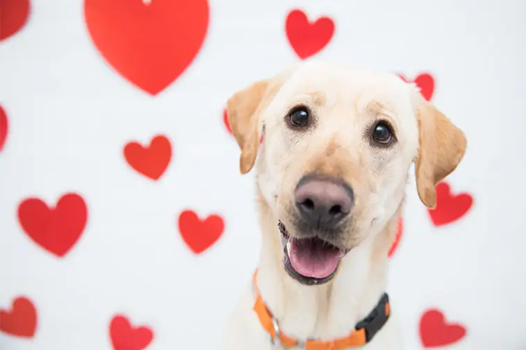 Prime Video inför reklam – betala extra för en annonsfri upplevelse