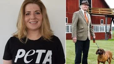PETA: "Gör inte som kungaparet – adoptera en hund istället"