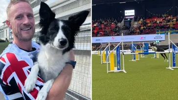 Engelska Border Collien Star snabbast i världen på agility-VM