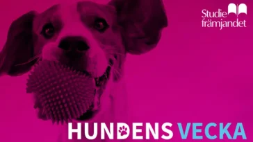 Hundveckan 2025: När teknik möter hundliv för bättre hälsa