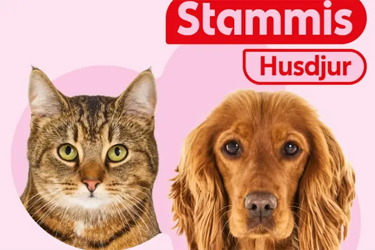 Prime Video inför reklam – betala extra för en annonsfri upplevelse