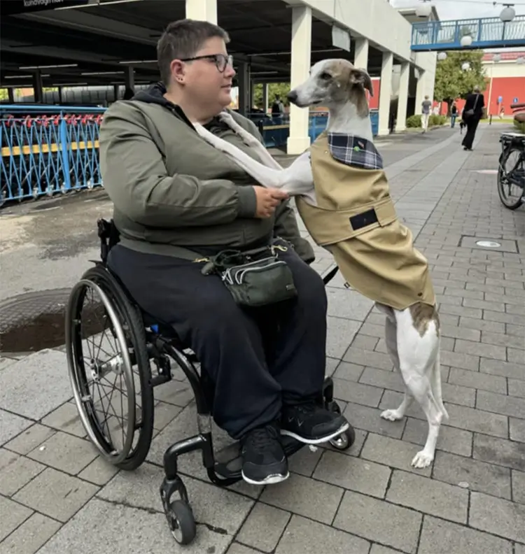 Whippeten som förändrar vardagen: Möt Rebecka och hennes assistanshund