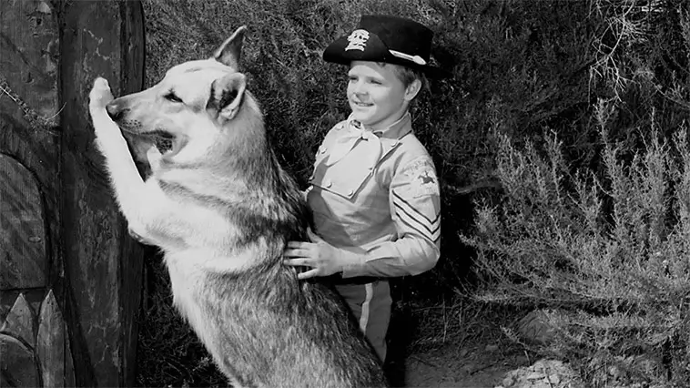 Rin Tin Tin – hur en herrelös valp blev Hollywoods fyrbenta superstjärna