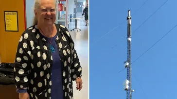 Mystiska cylindrar vid master på Gotland har skapat oro bland hundägare