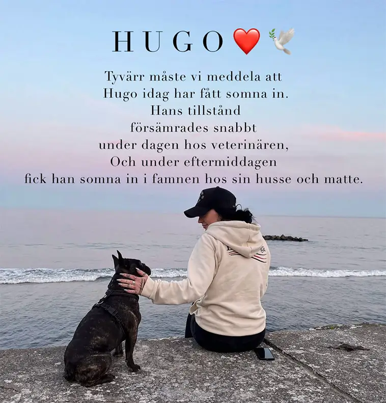 Hugo hittad efter en vecka i skogen – men tragiskt nog fick han somna in