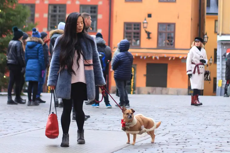 Prime Video inför reklam – betala extra för en annonsfri upplevelse