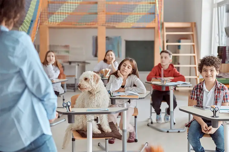 Prime Video inför reklam – betala extra för en annonsfri upplevelse