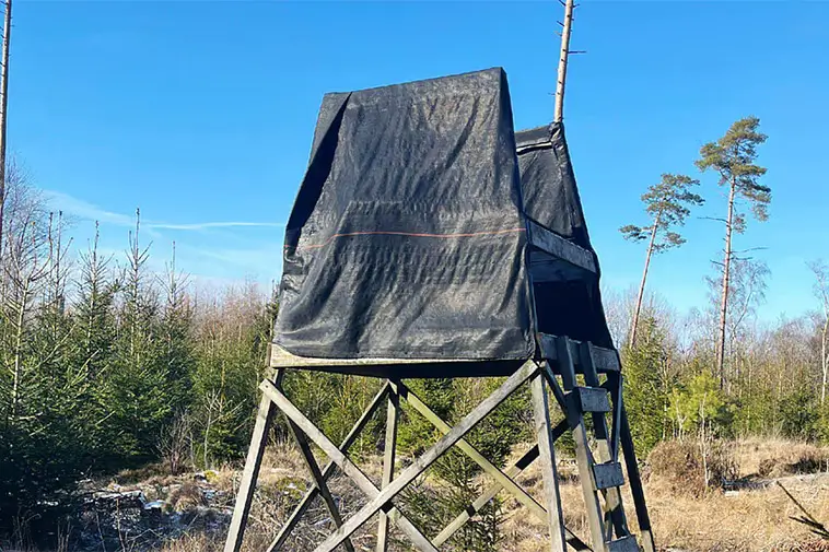 Jakthund dödades av skott – jägare i 65-årsåldern ställs nu inför rätta
