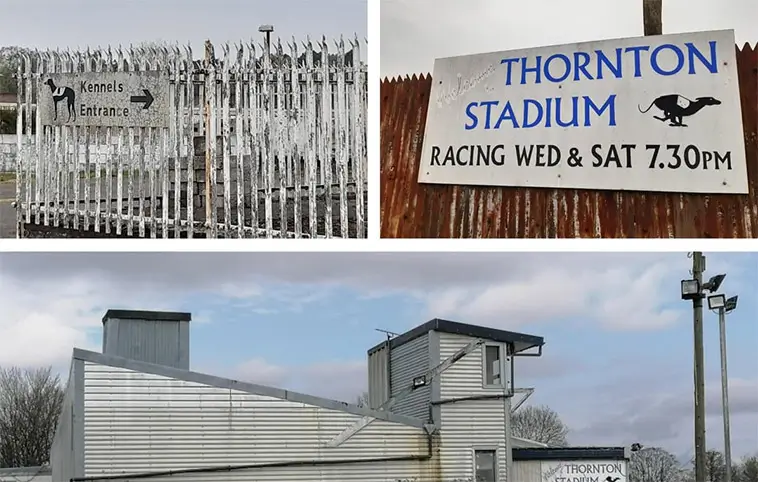 Skottland tar steg mot förbud mot greyhoundracing