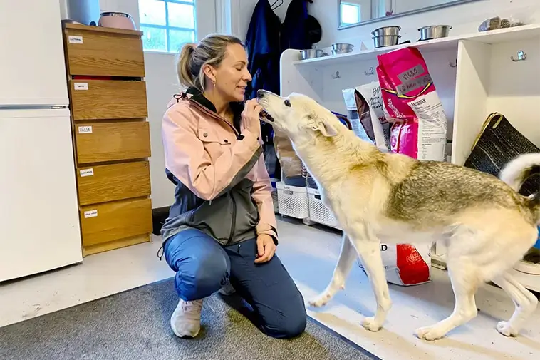 Nu kan du bli ägare till Värmdös mest älskade hund- och kattpensionat