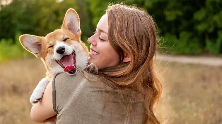 7 anledningar att skaffa hund – enligt vetenskapen