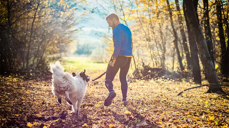 7 anledningar att skaffa hund – enligt vetenskapen