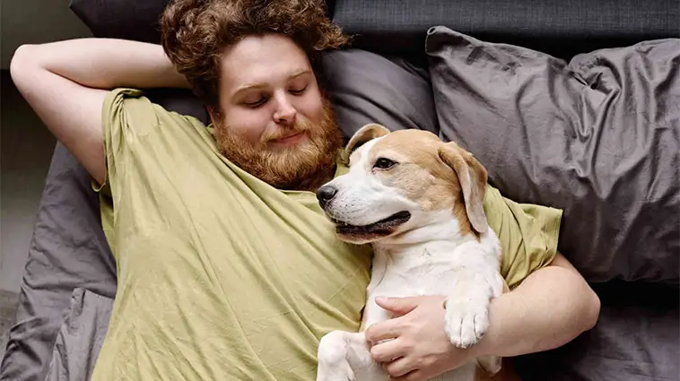7 anledningar att skaffa hund – enligt vetenskapen