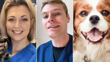8 hundraser som veterinärer aldrig skulle välja själva