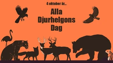 Glöm Alla Helgons Dag – idag är det Alla Djurhelgons Dag