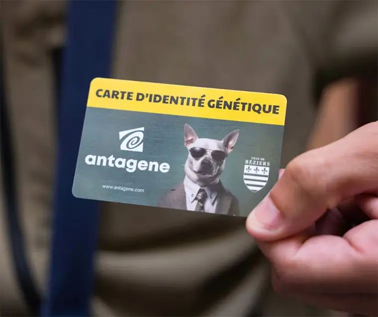 DNA mot hundbajs – fransk stad tar till ovanliga metoder för renare gator