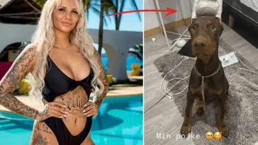 Upprördhet och kritik efter influencerns bild på sin Dobermann: "Detta ska vi inte acceptera"