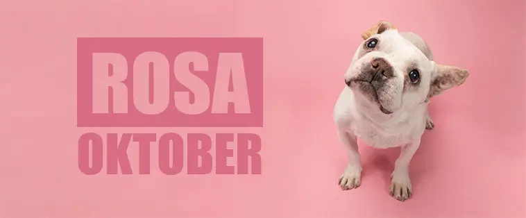 Rosa oktober – tid för att känna igen tikens juver