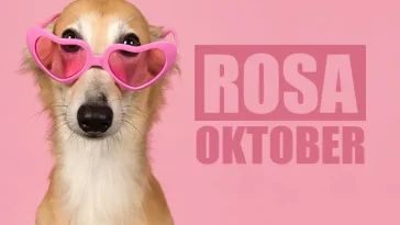 Rosa oktober – tid för att känna igen tikens juver