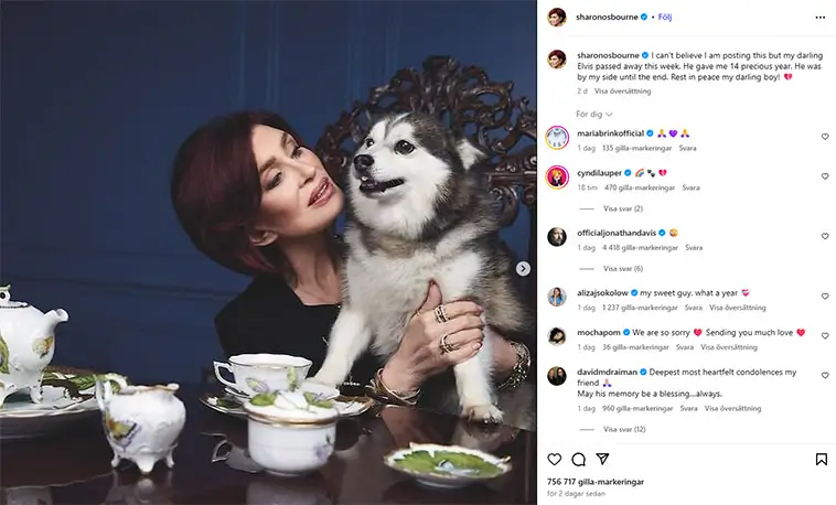Efter makens bortgång: nu förlorar Sharon Osbourne även sin trogna följeslagare