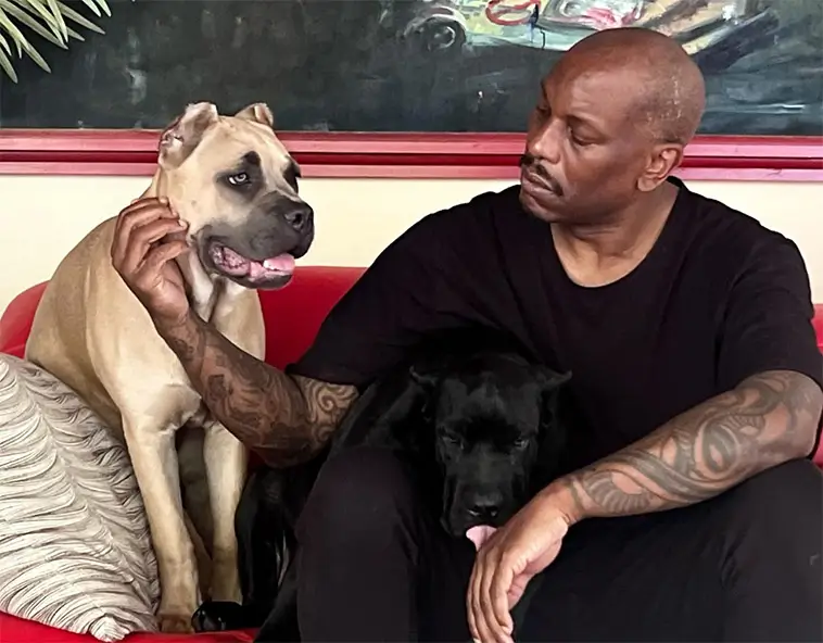 Åtalspunkterna mot Tyrese Gibson läggs ned