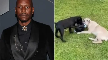 Åtalspunkterna mot Tyrese Gibson läggs ned