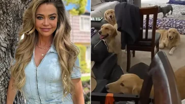 Denise Richards räddar 15 hundar från tidigare hem mitt i bitter skilsmässa