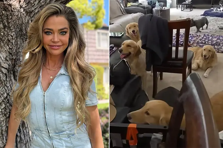 Denise Richards räddar 15 hundar från tidigare hem mitt i bitter skilsmässa