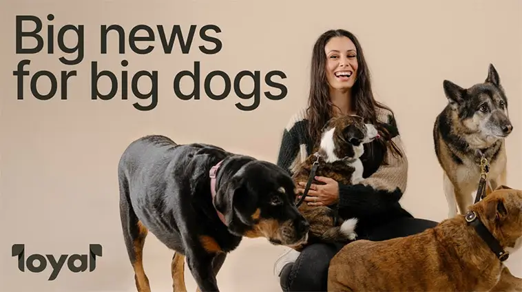 Kan piller förlänga livet för hunden? Nya trenden som sprids i USA