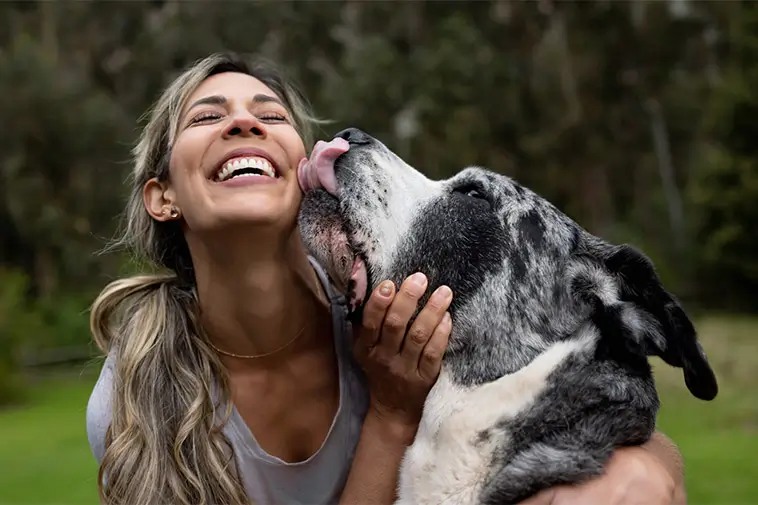 Kan piller förlänga livet för hunden? Nya trenden som sprids i USA