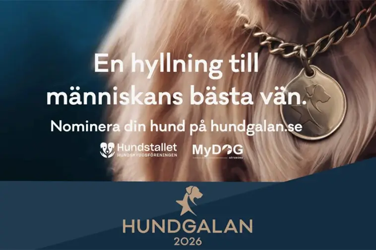 'Hundgalan 2026' – en hyllning till våra fyrbenta hjältar