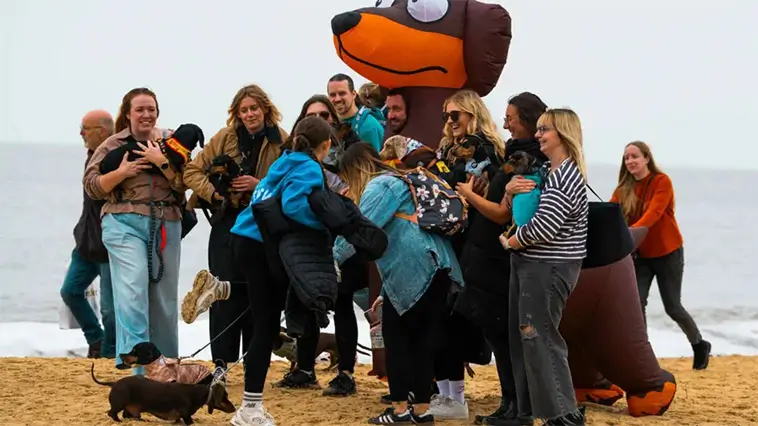 Hundfest på stranden – tusentals Taxar samlades för välgörenhet