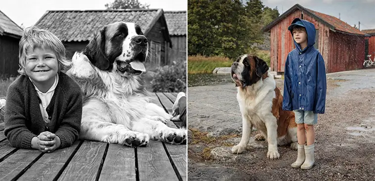 Saltkråkans Båtsman har fått nytt utseende – här är orsaken