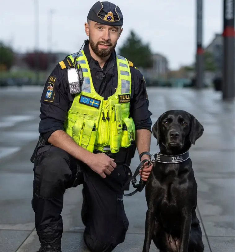 229 beslag på ett år – Fanny blir "Årets Narkotikasökhund 2025"