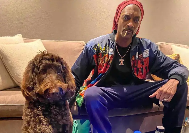 Falskt viralrykte: Nej, Snoop Dogg räddade inte 39 hundar i New York