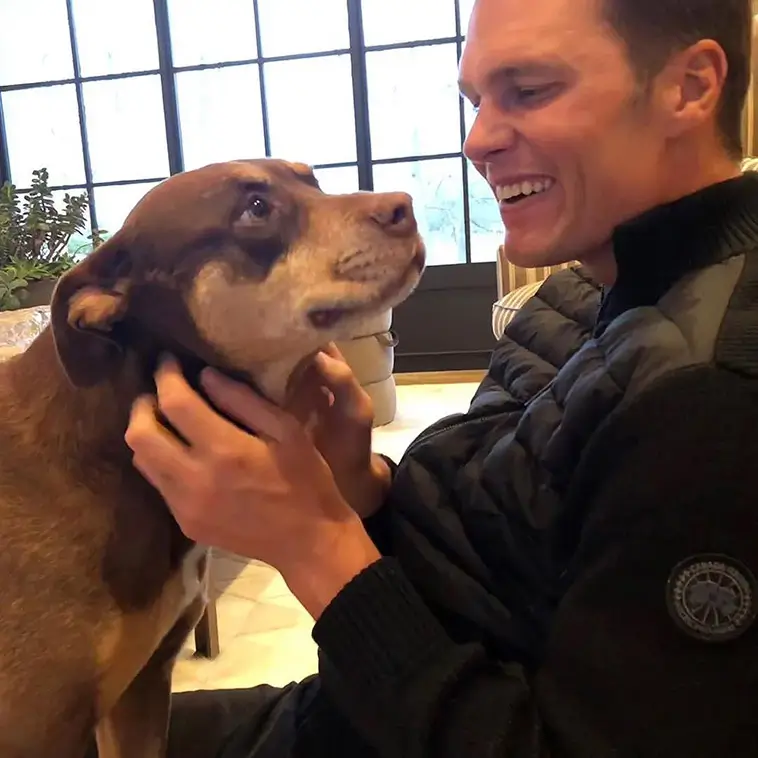 Tom Brady har klonat sin älskade hund – familjen uttrycker det som en "andra chans"