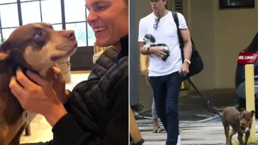 Tom Brady har klonat sin älskade hund – familjen uttrycker det som en "andra chans"