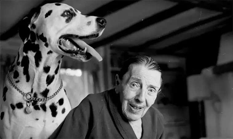 Pongo, Perdita och verkligheten bakom de 101 dalmatinerna – den fascinerande historien som inspirerade en världssuccé