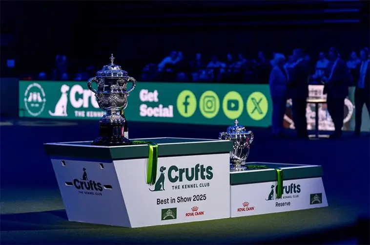 Skärpta regler stoppar kortnosade hundar från Crufts 2026