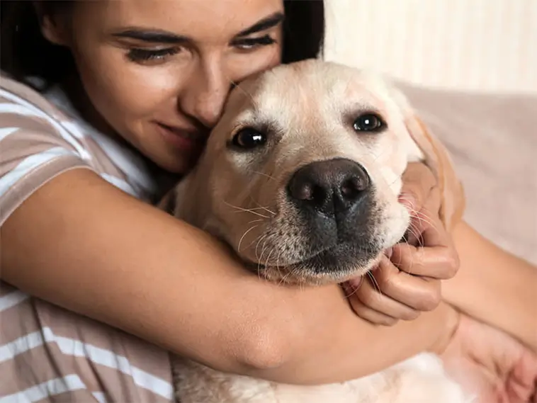 När din hund behöver avstånd – och varför en kram ibland kan göra mer skada än nytta