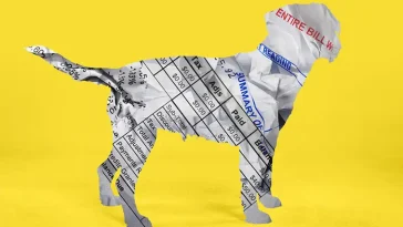 Allt fler hundägare pressas av skenande veterinärkostnader