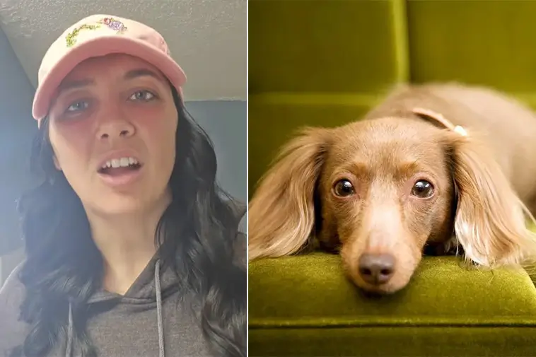 Hundtränaren: Fem typer som aldrig bör ha en hund