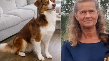 AI-bedrägeri mitt i hundjakten – hoppet om Twixa krossades av falsk bild