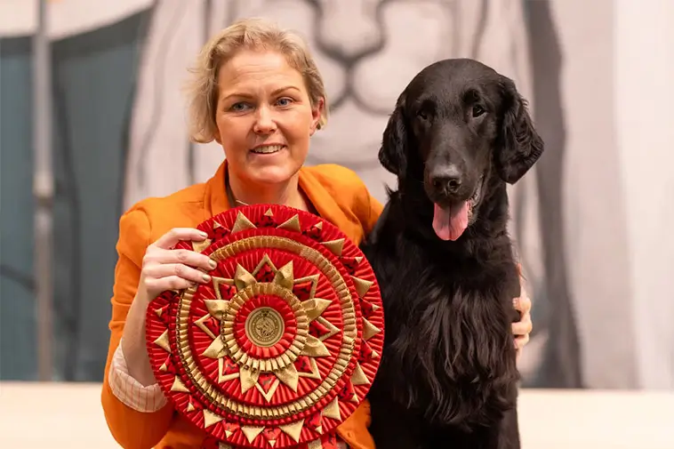 Dalahund skriver historia – Flatcoated Retrievern Kråkan koras till "Årets Utställningshund 2025"