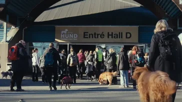 Elmia Hund 2026 – två dagar om den aktiva hunden