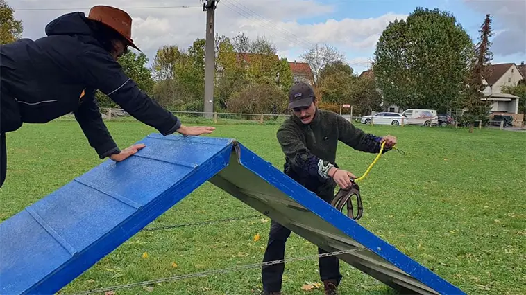 Här tränar de agility utan hund – fenomenet som förbryllar och fascinerar