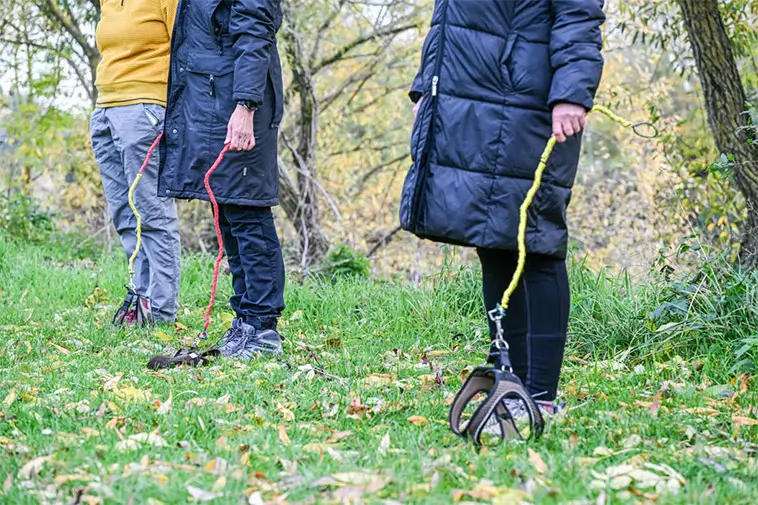 Här tränar de agility utan hund – fenomenet som förbryllar och fascinerar