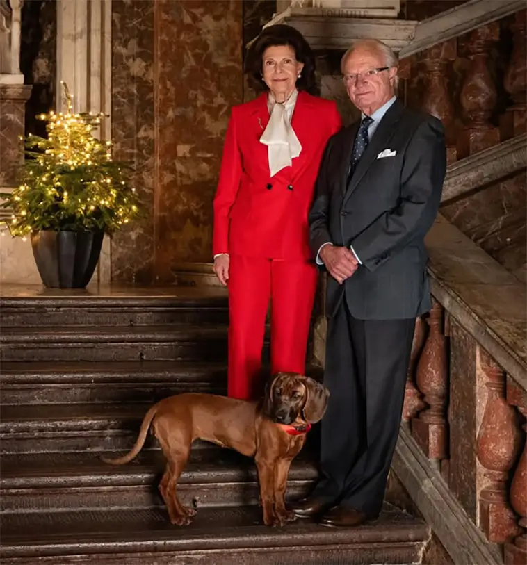 Sex månader med Bonnie – så har kungaparet format vardagen med sin nya spårhund