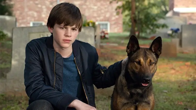 Filmtipset: Hundfilmen Max streamar nu på Netflix